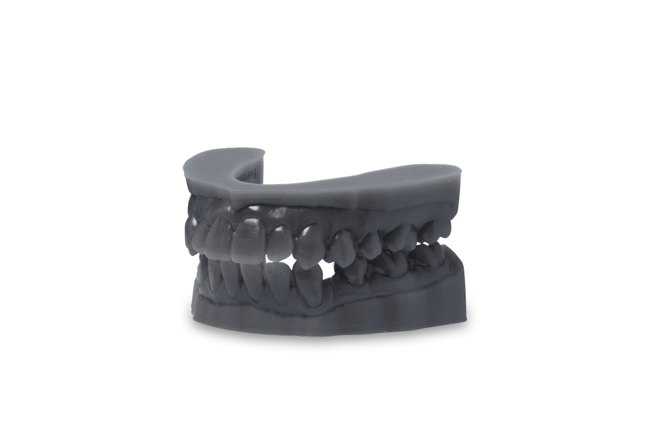 Grey 3D printed dental model