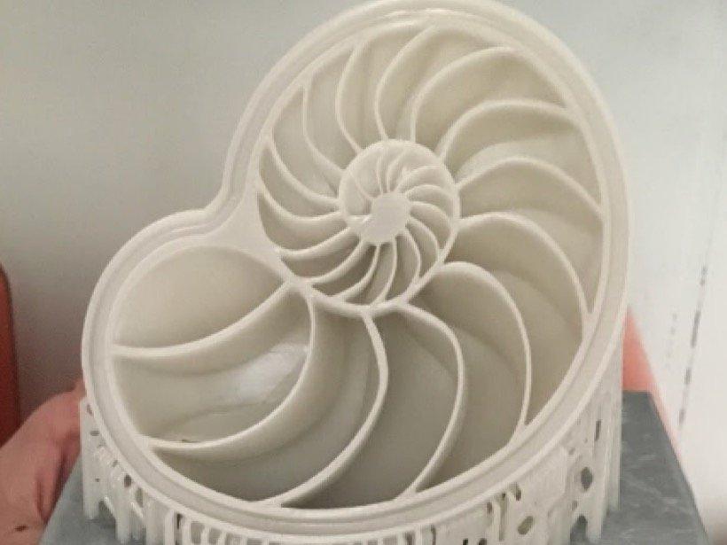 white resin 3d printed nautiloid shape