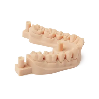 Model V2 Resin