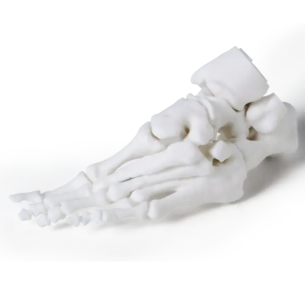 White Resin V4