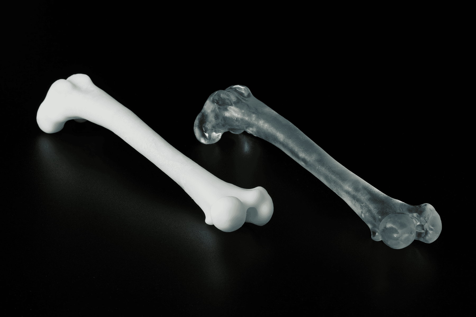 Veterinary femur bone models