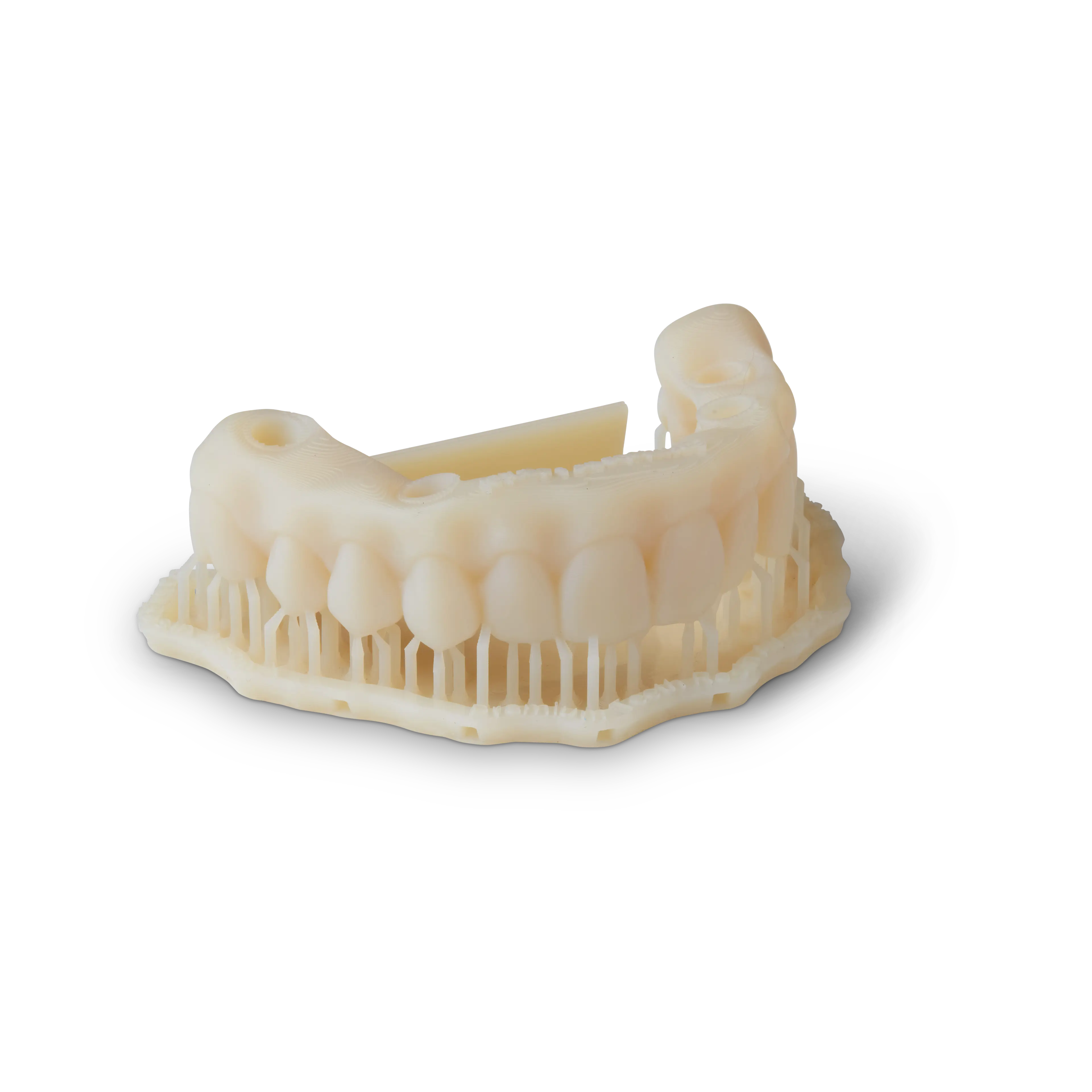 Premium Teeth All-On-X Arch