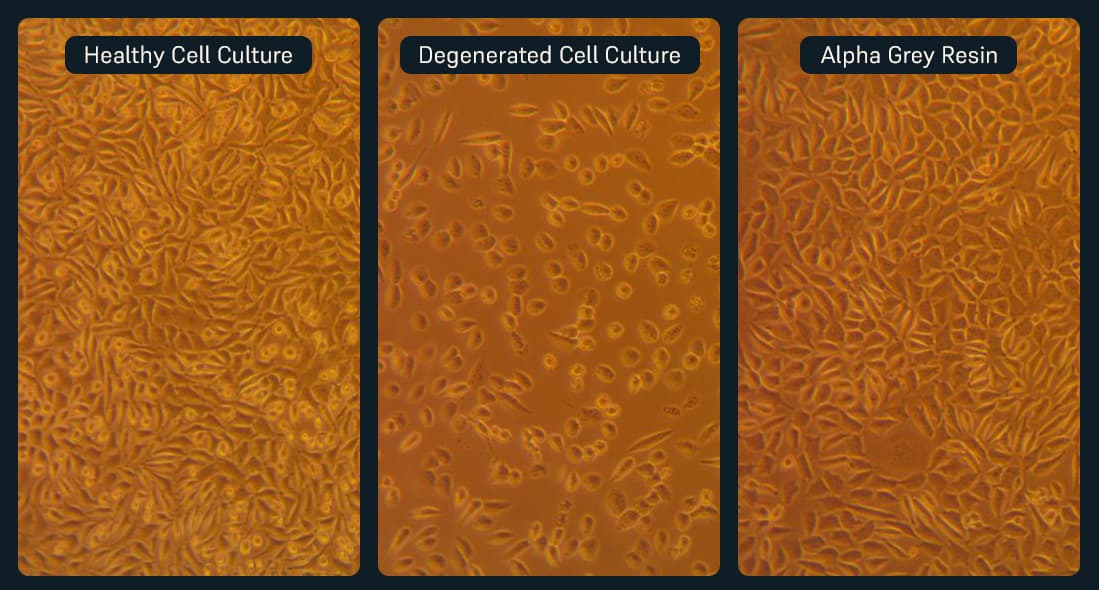 cytotoxicity test results