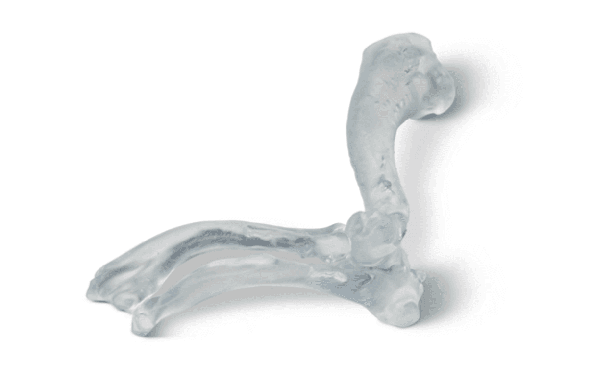 completed veterinary model printed in BioMed Durable Resin