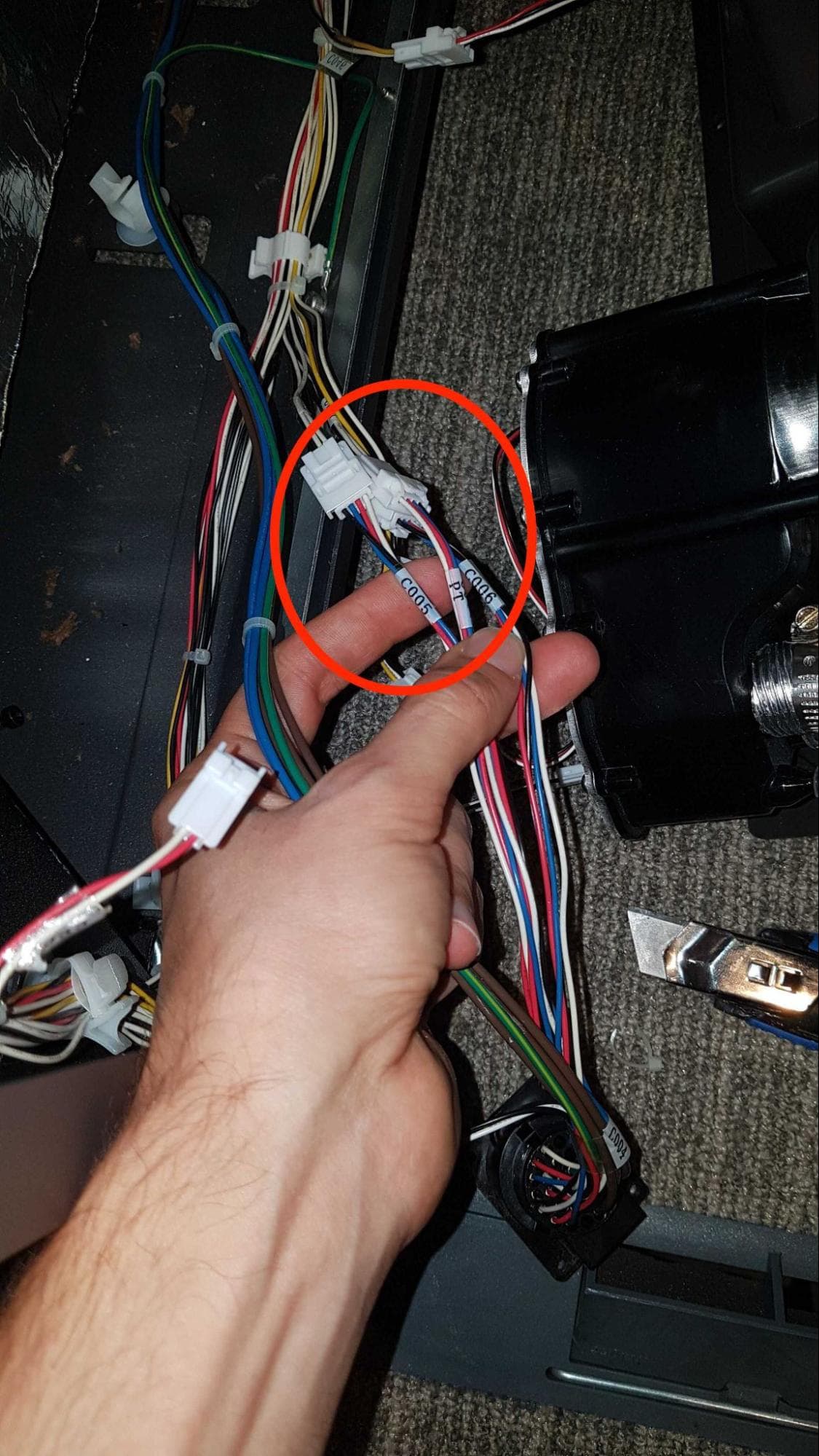 Remove the build chamber socket & cable harness