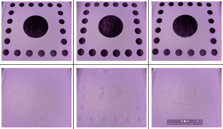 Polypropylene Surface Armor whitening and curling