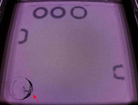 Curling-like failure caused by debris