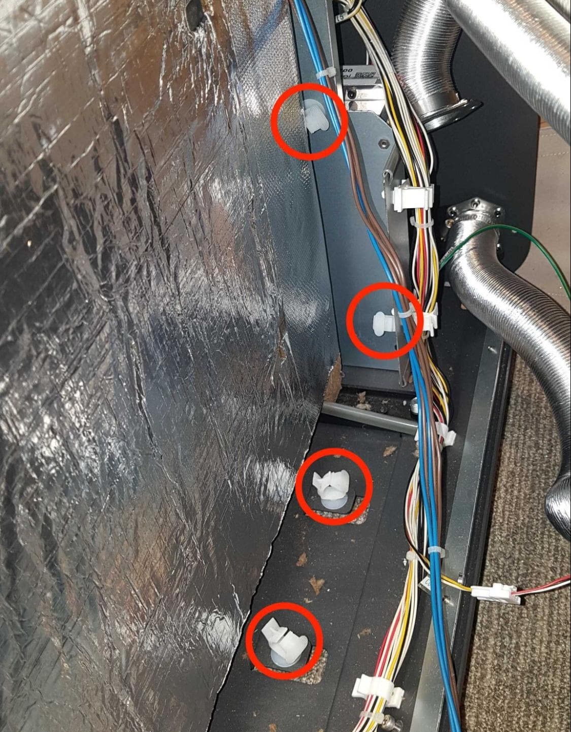 Install the new build chamber socket & cable harness