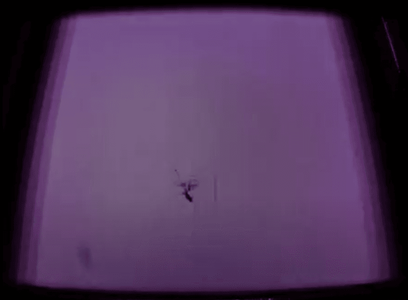 Imagen de una impresión en curso en la que una fibra atraviesa el polvo.