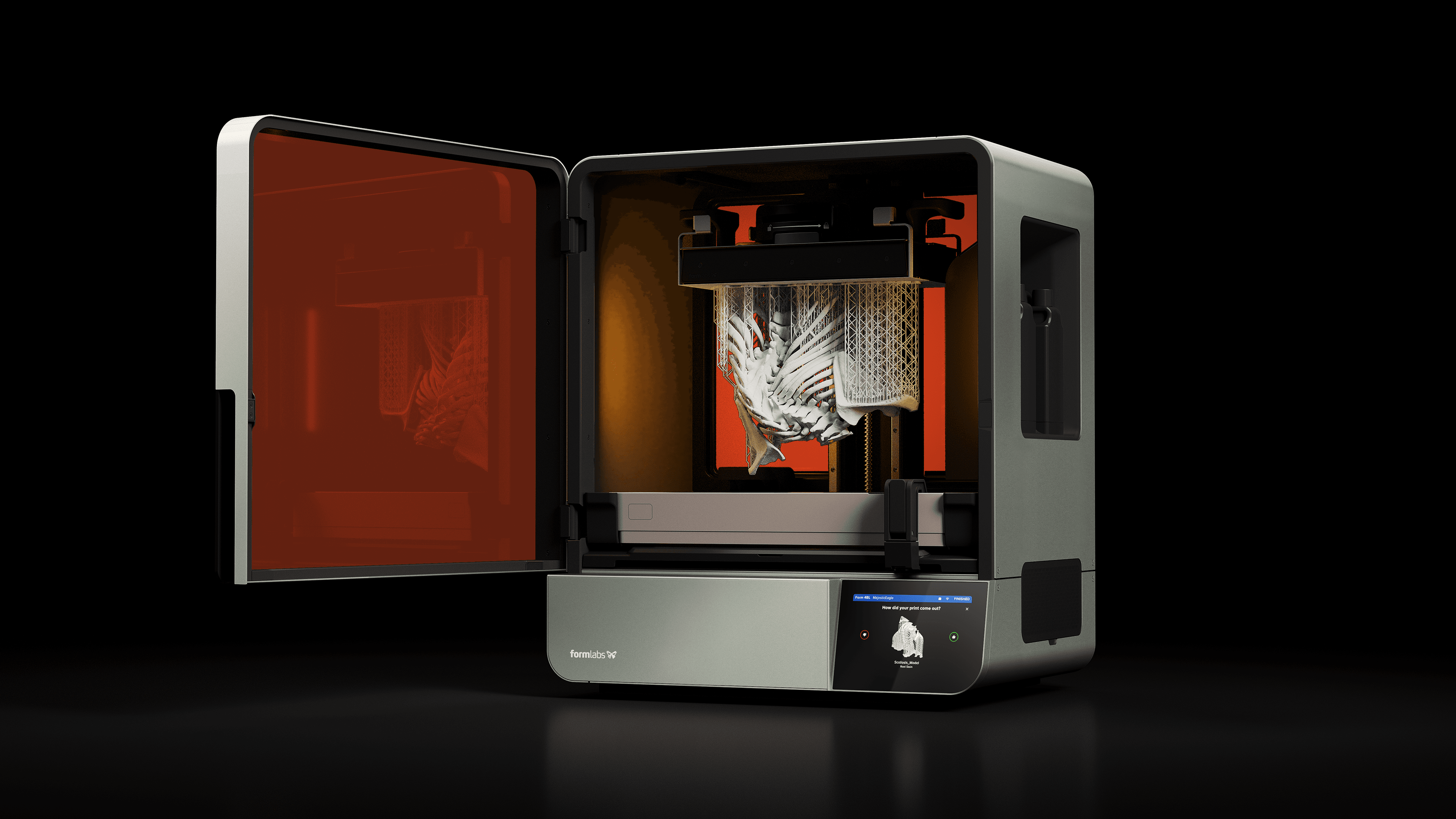 3D printed spine with scoliosis inside a Form 4BL