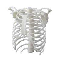 White Resin V4.1