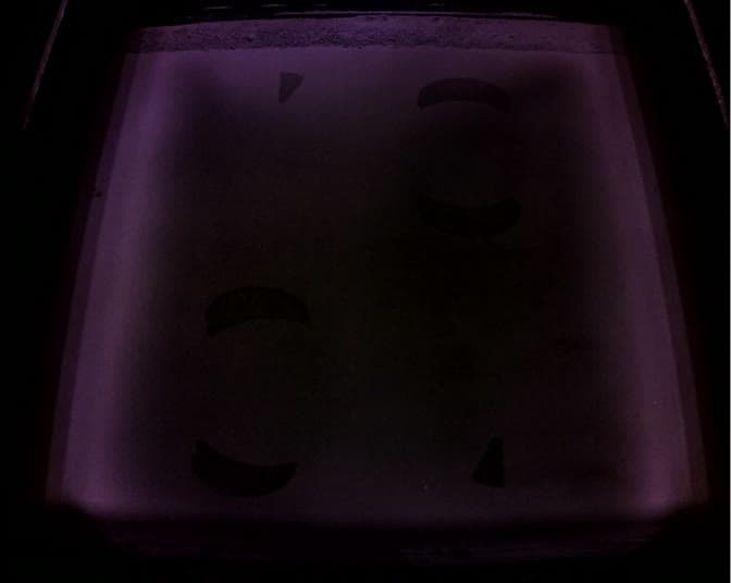 Global melting in Nylon 12 GF Powder