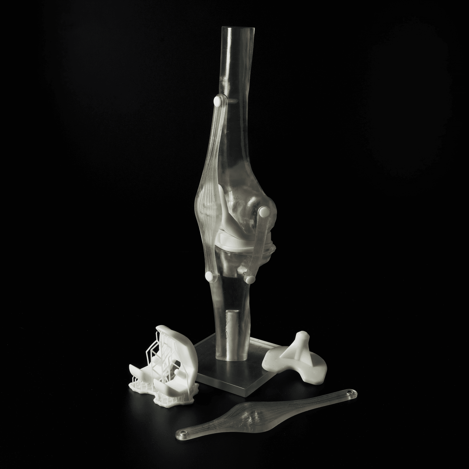 Bone-simulation model