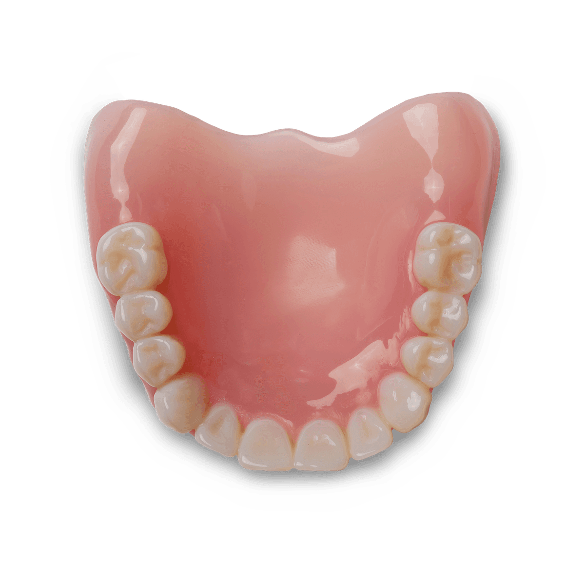 Denture Base Resin
