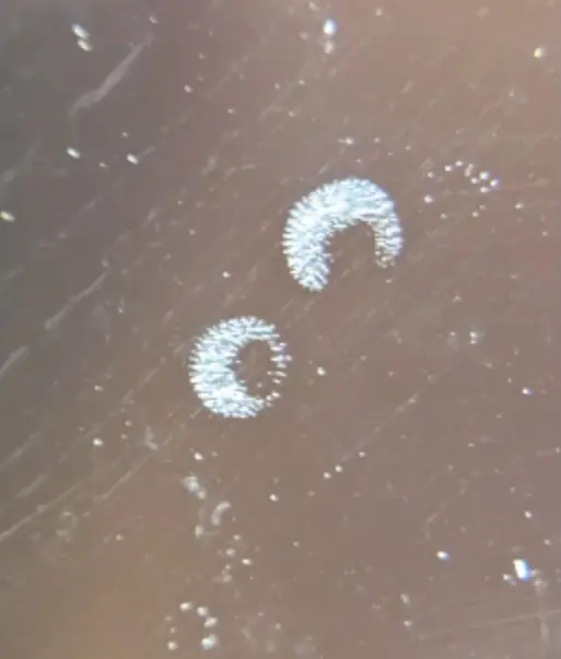 Example of film cavitation