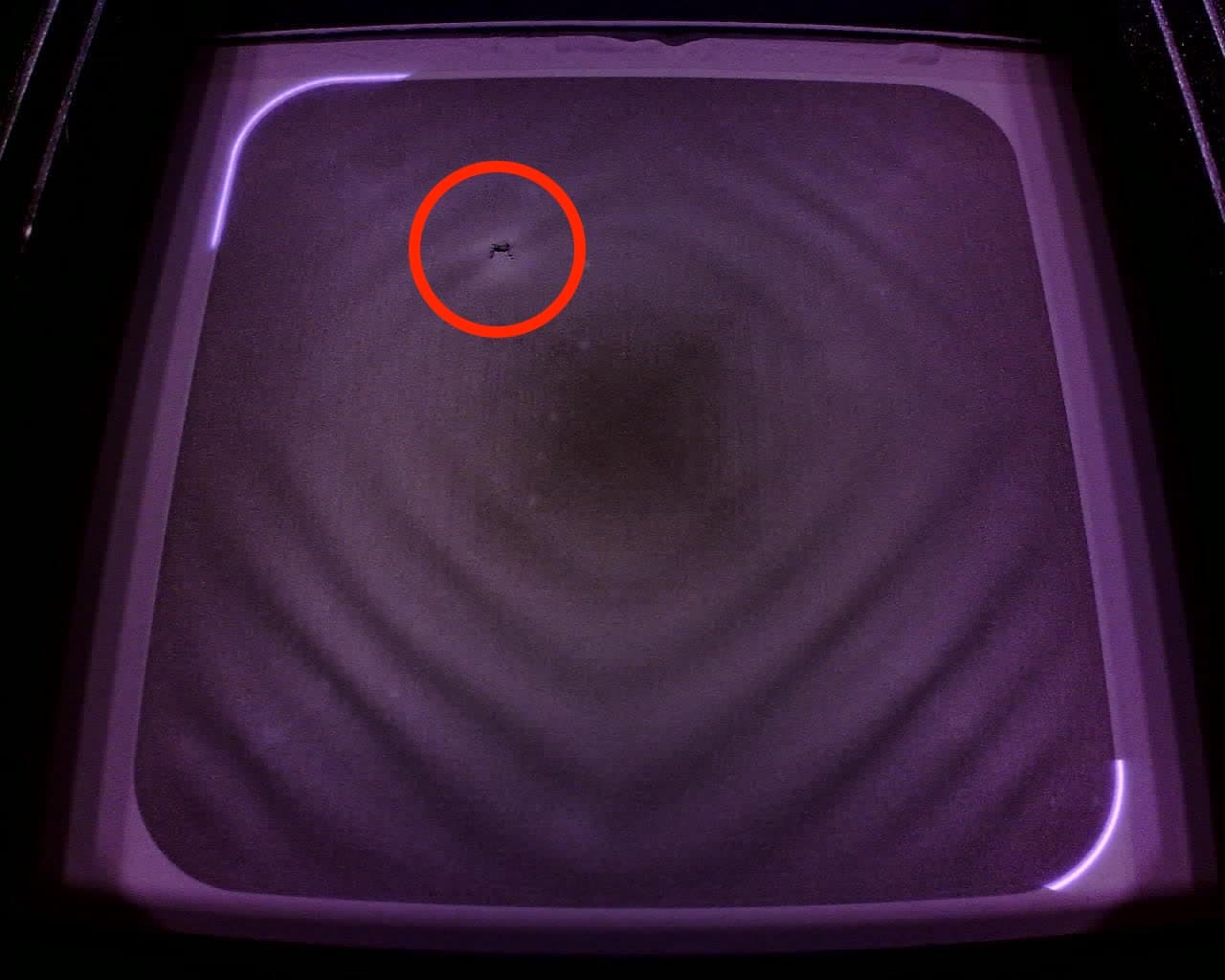 Optics check showing unsintered regions