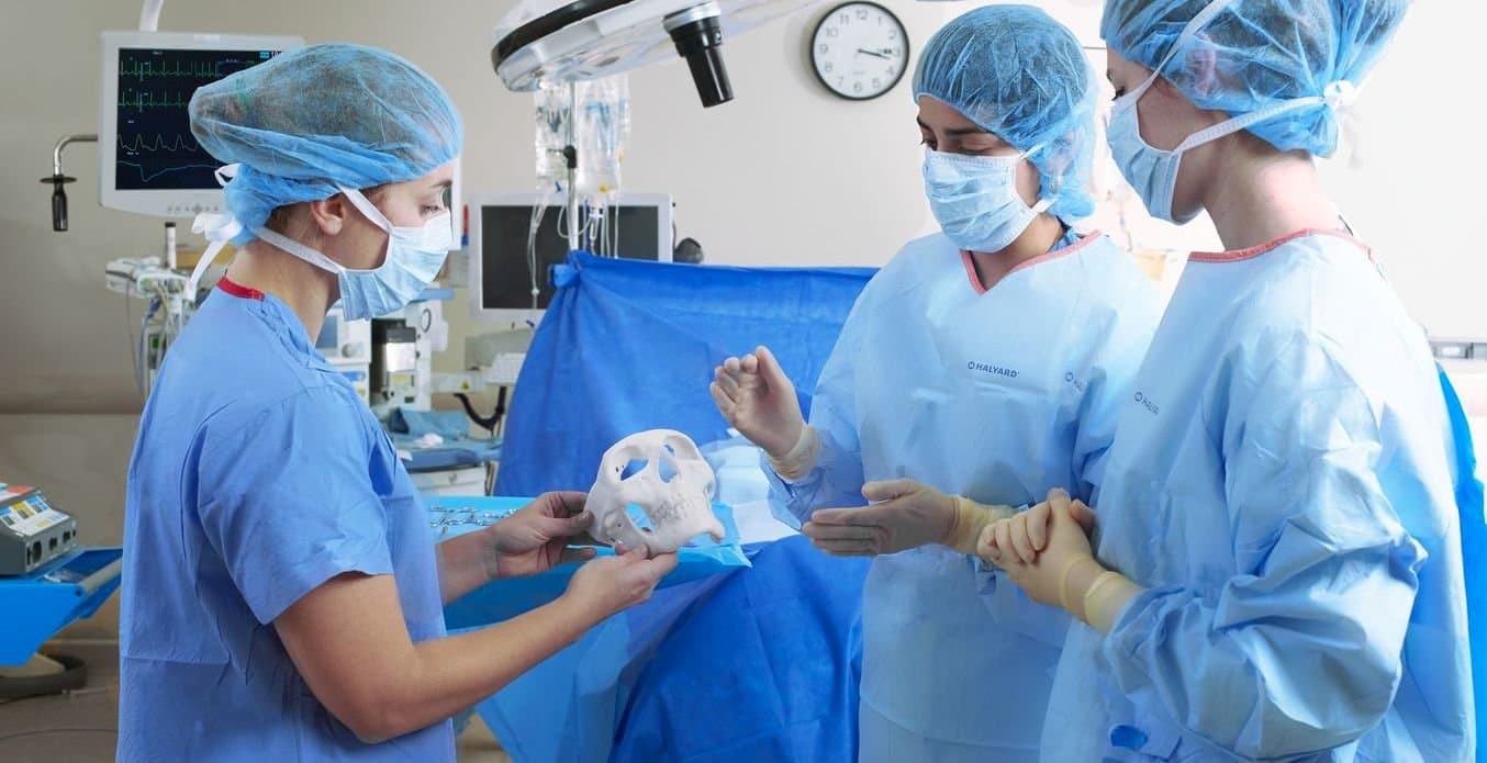 Doctors with anatomical model