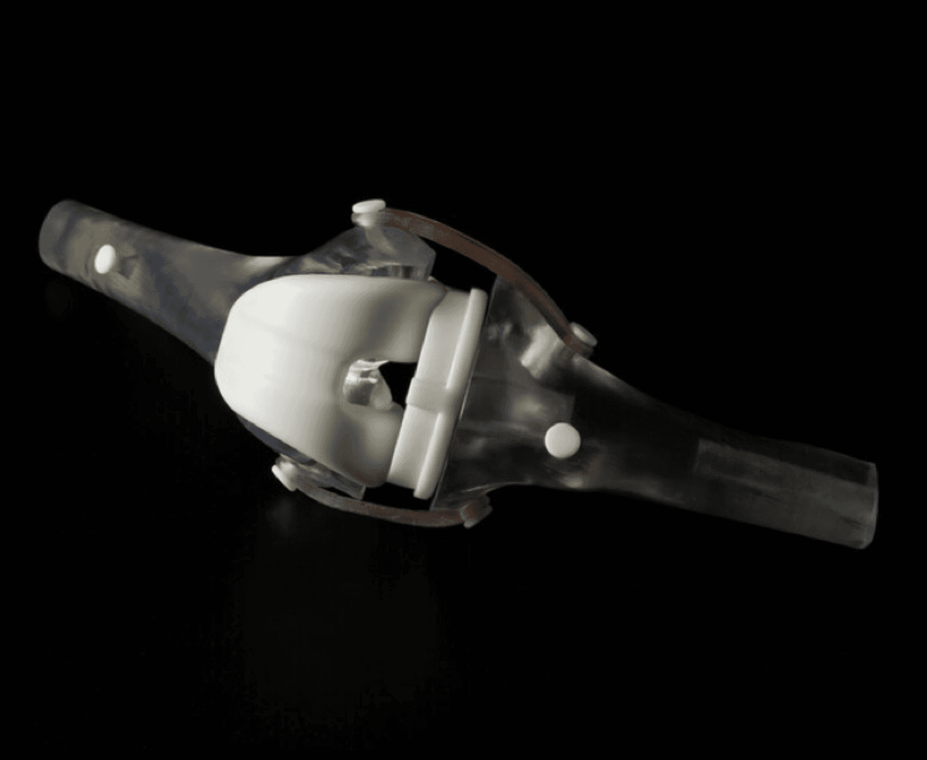 bone model