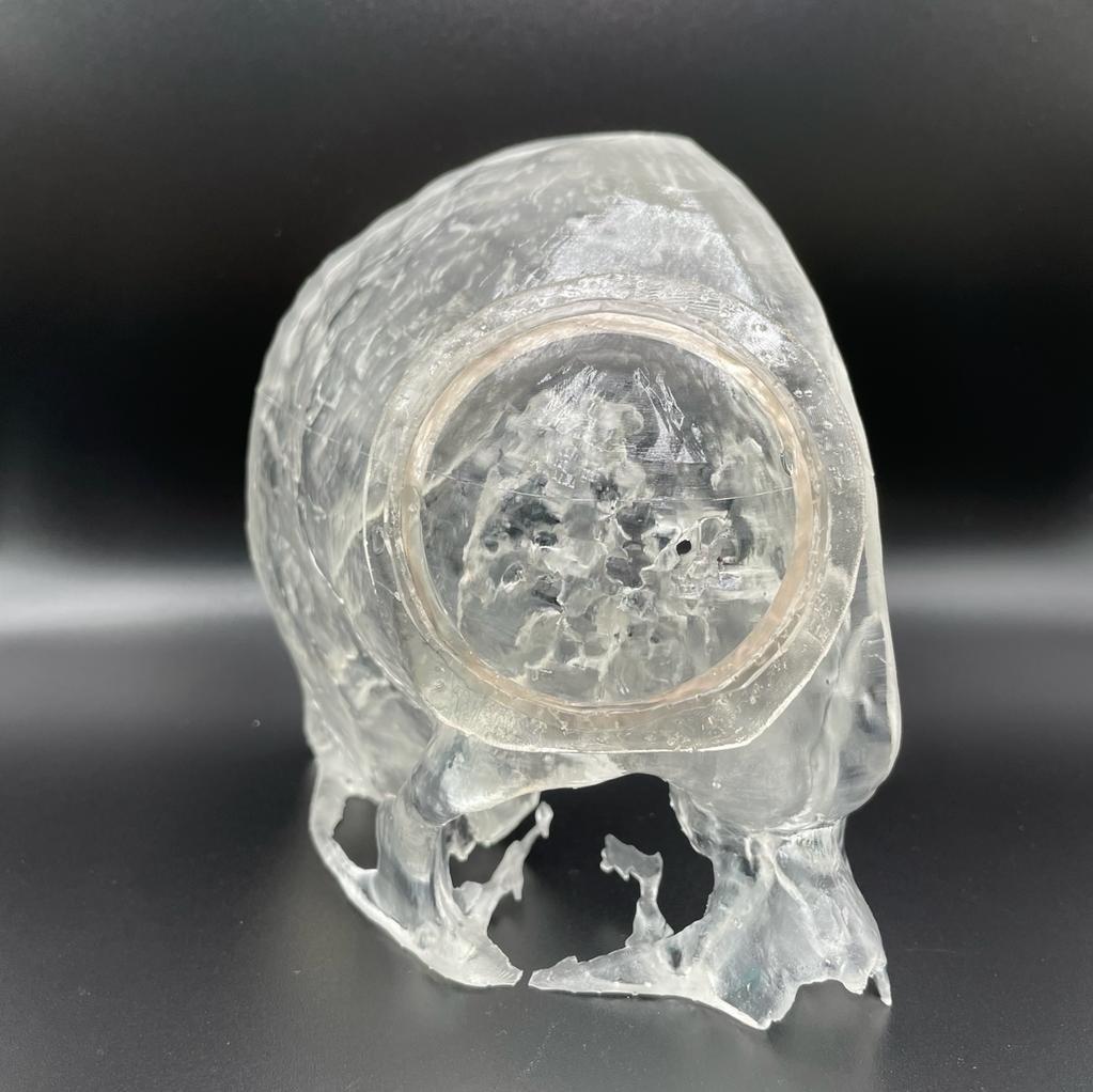 Clear, 3D printed anatomical model