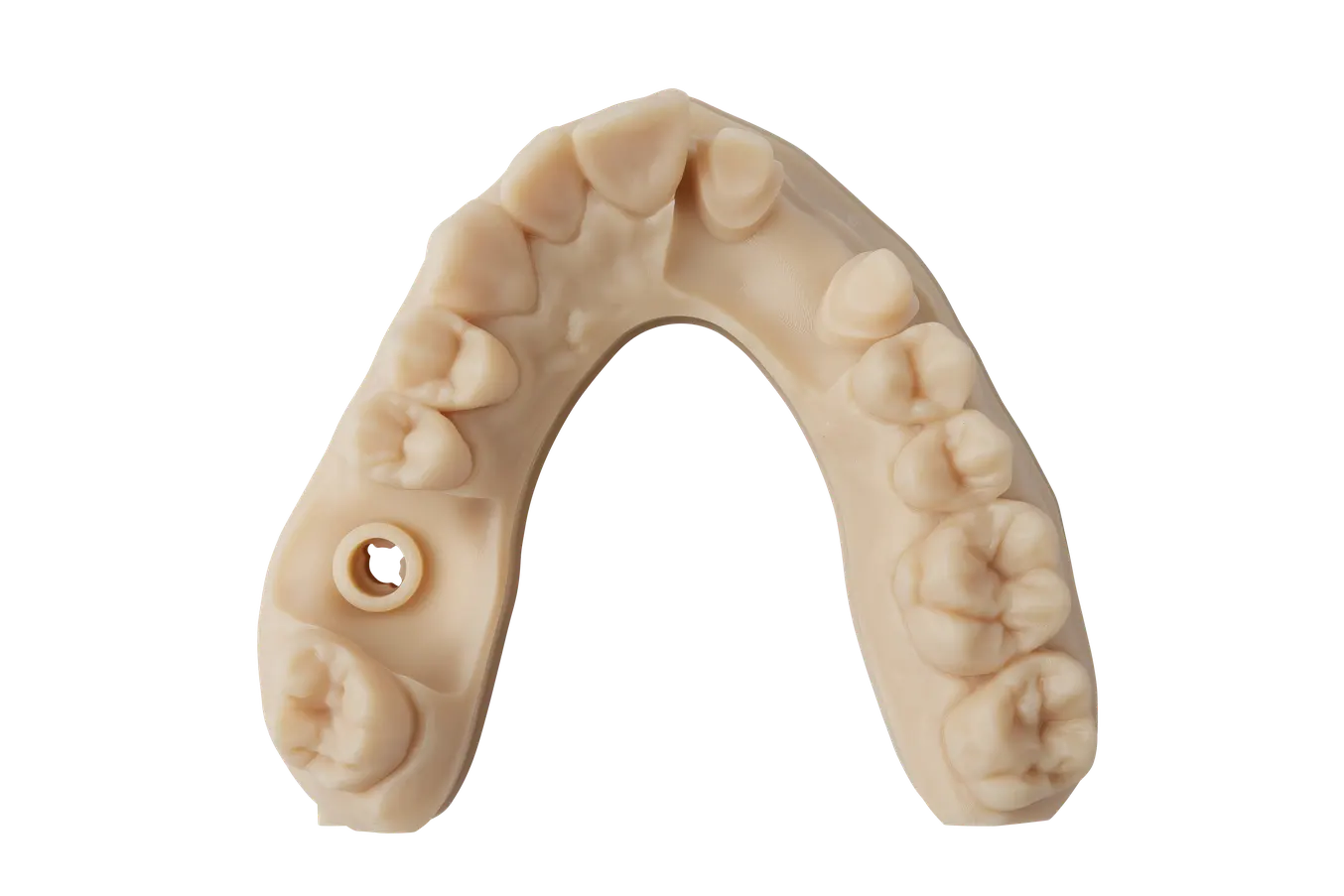 Modello dentale stampato in 3D con la Precision Model Resin