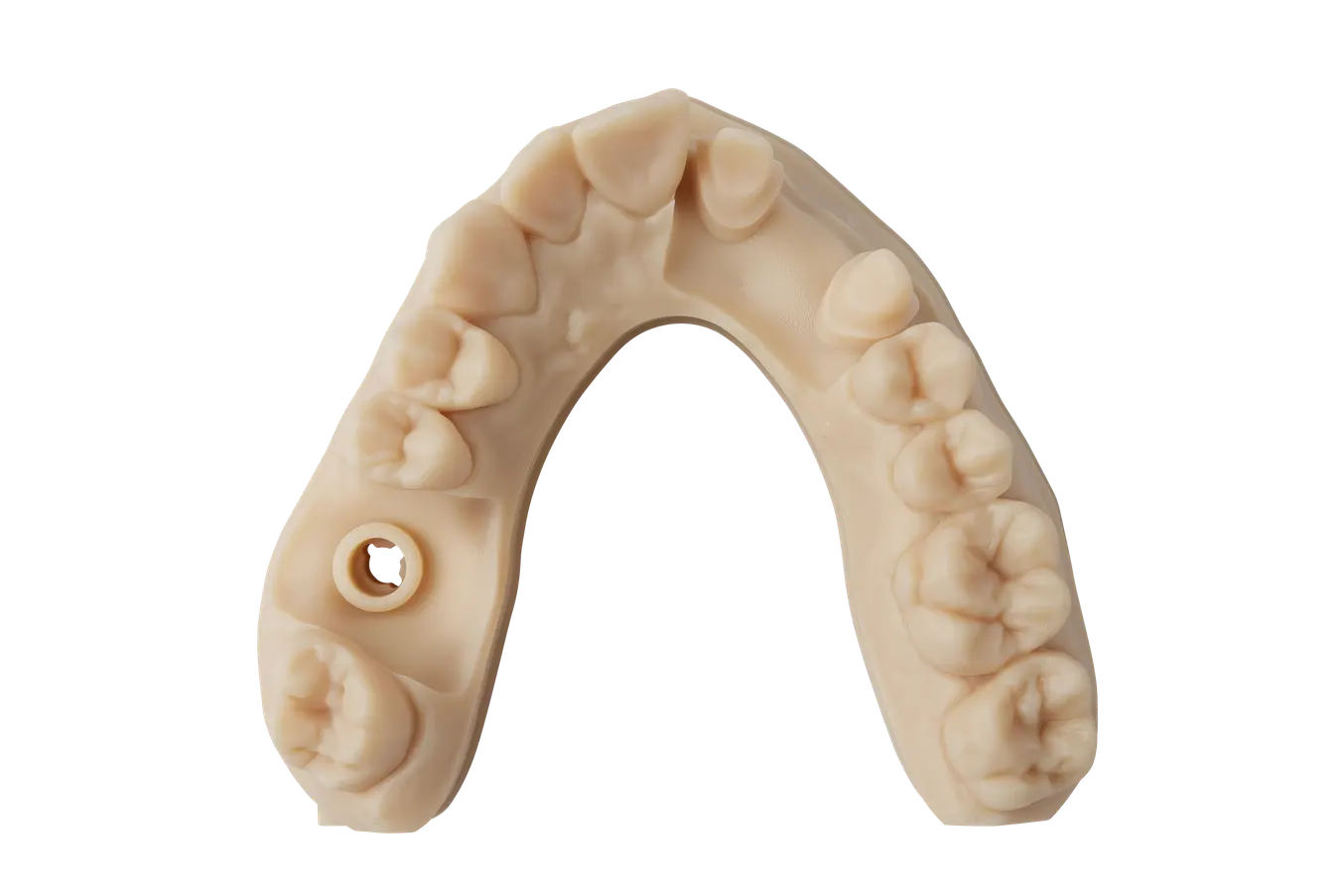 Modello dentale stampato in 3D con la Precision Model Resin