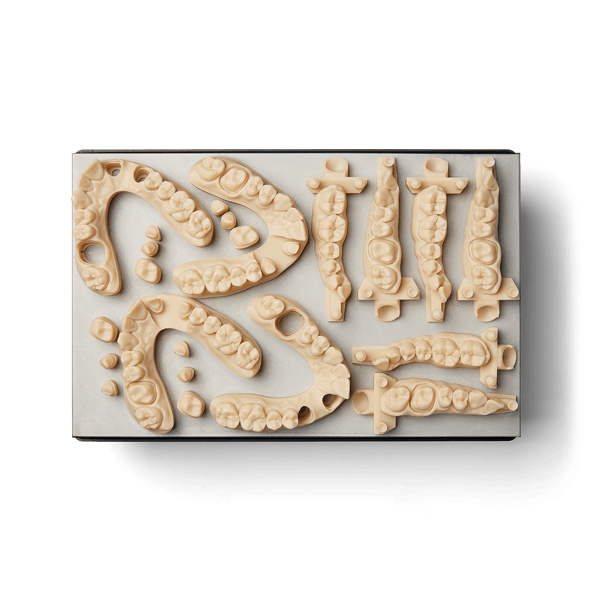 3D-gedrucktes Dentalmodell aus Precision Model Resin
