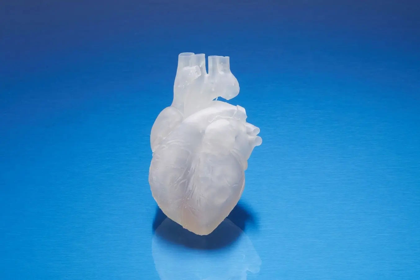 Clear, 3D printed model of a heart