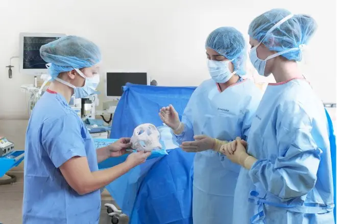 Ein Medizinerteam hält einen 3D-gedruckten Schädel