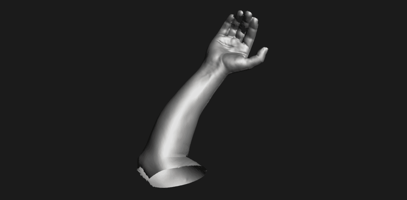 Digital model of an 3d scanned arm