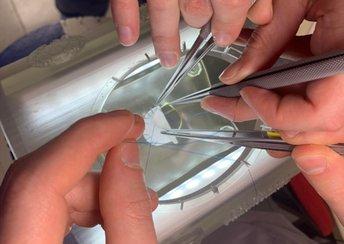 Heart surgery residents using a 3D printed transportable and modular rib cage.
