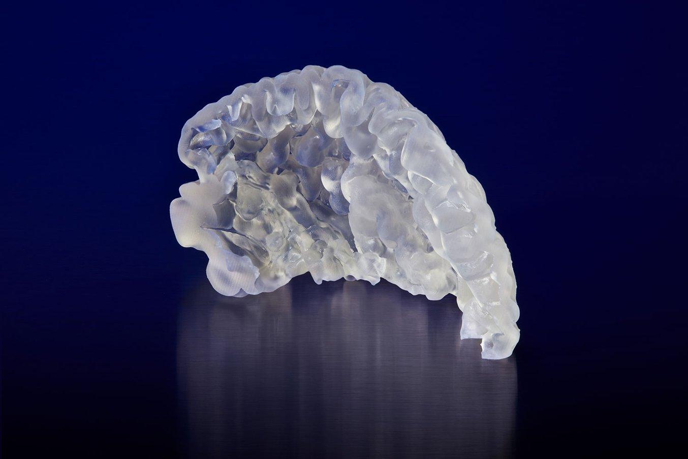 Modèle anatomique d'un cortex préfontal, imprimé en 3D avec Elastic Resin sur une imprimante 3D SLA Formlabs. Modèle fourni par Embodi3D.