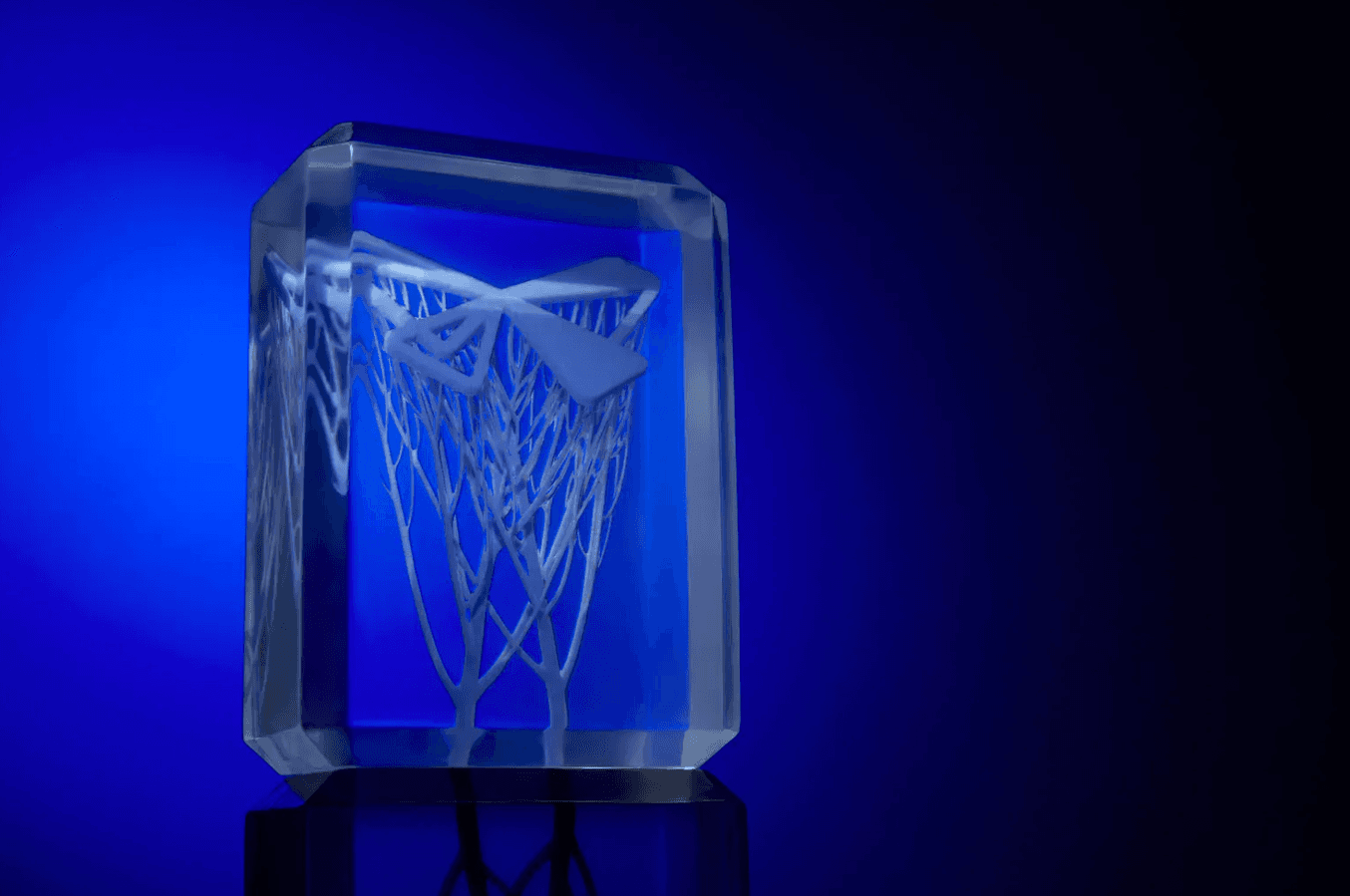 3D printed award printed by nervous system