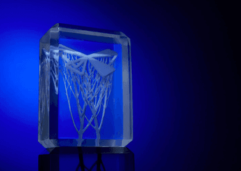 Formlabs User Summit Impact Award designed by Nervous System