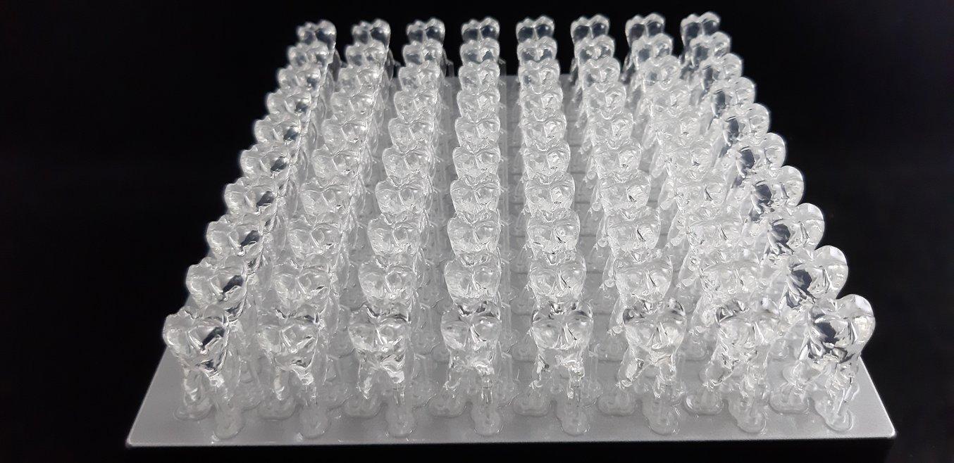 3D printing teaching aids: Form 3B build platform with 110 3D printed teeth.