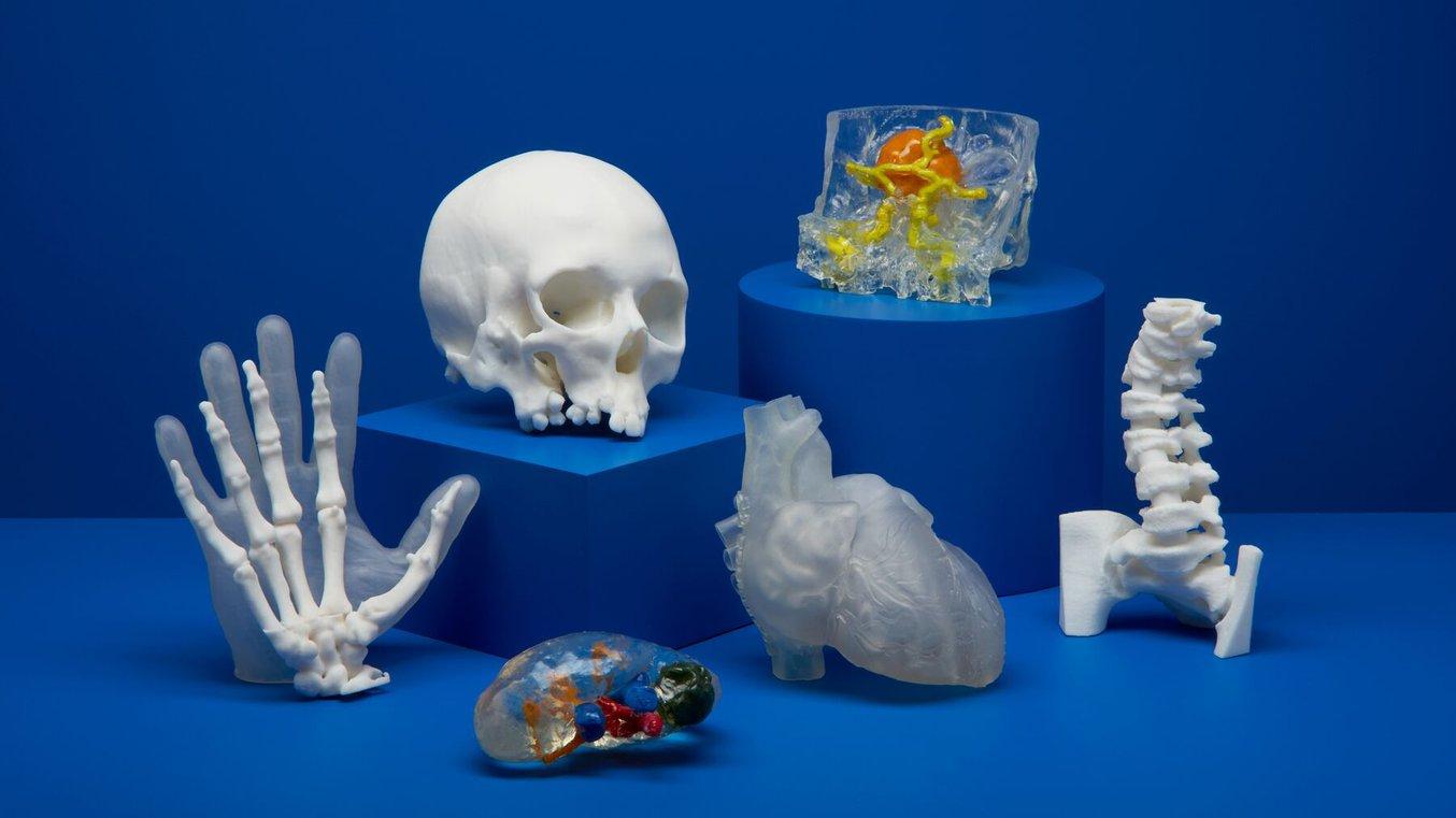 Colonna vertebrale stampata in 3D