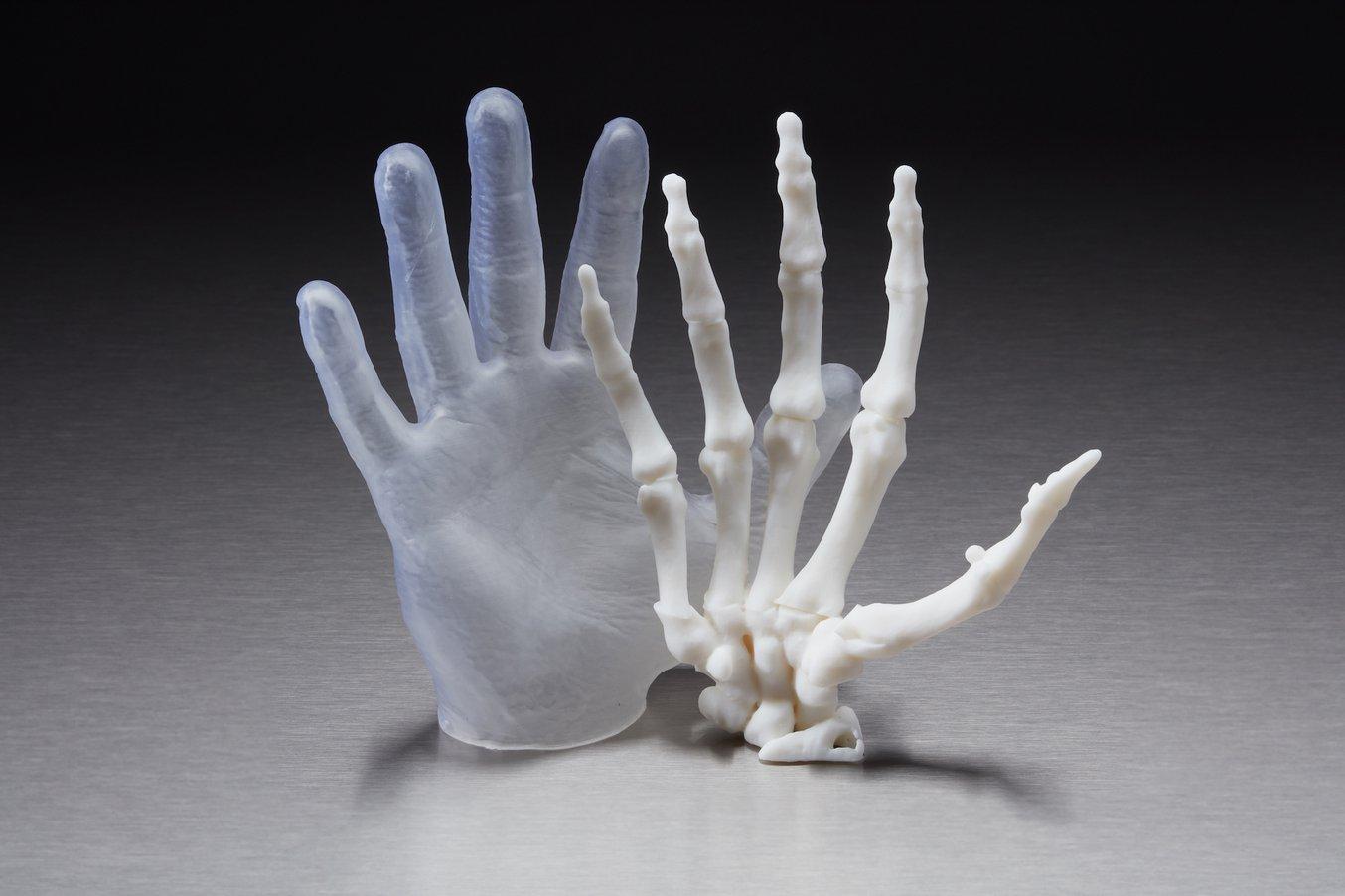 Modelo anatómico de una mano, que incluye la "piel" hecha con un material elástico de impresión 3D.