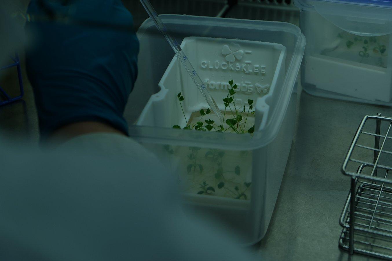 3D-gedruckte Komponenten aus BioMed White Resin mit Kleepflanzen in einem Labor