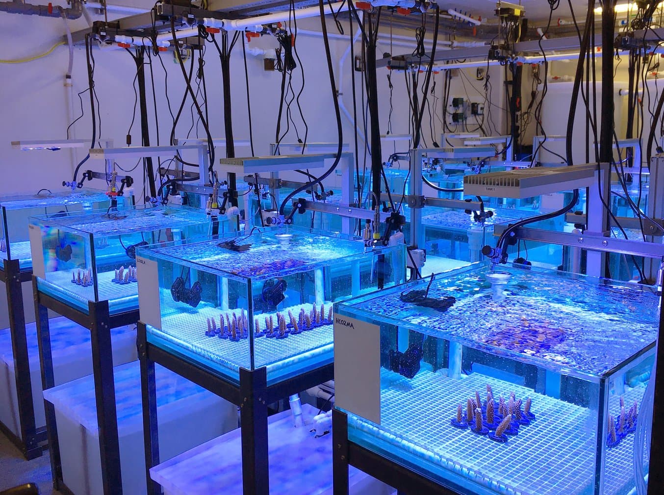 NOAA experimental reef lab