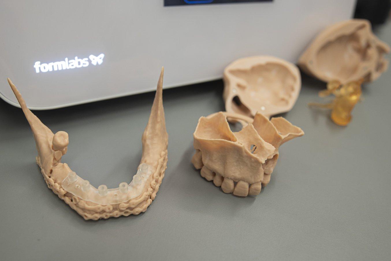3D printed anatomical models at SE3D - Semmelweis University.