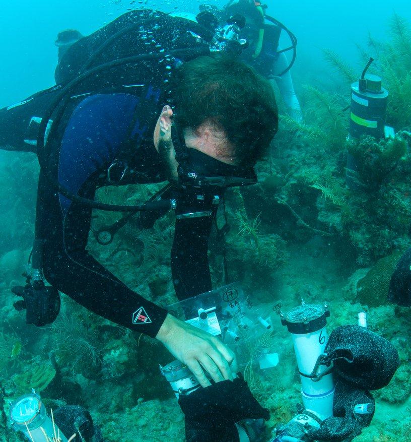 Scuba diver deploying a subsurface automated water sampler (SAS) at Dry Tortugas.