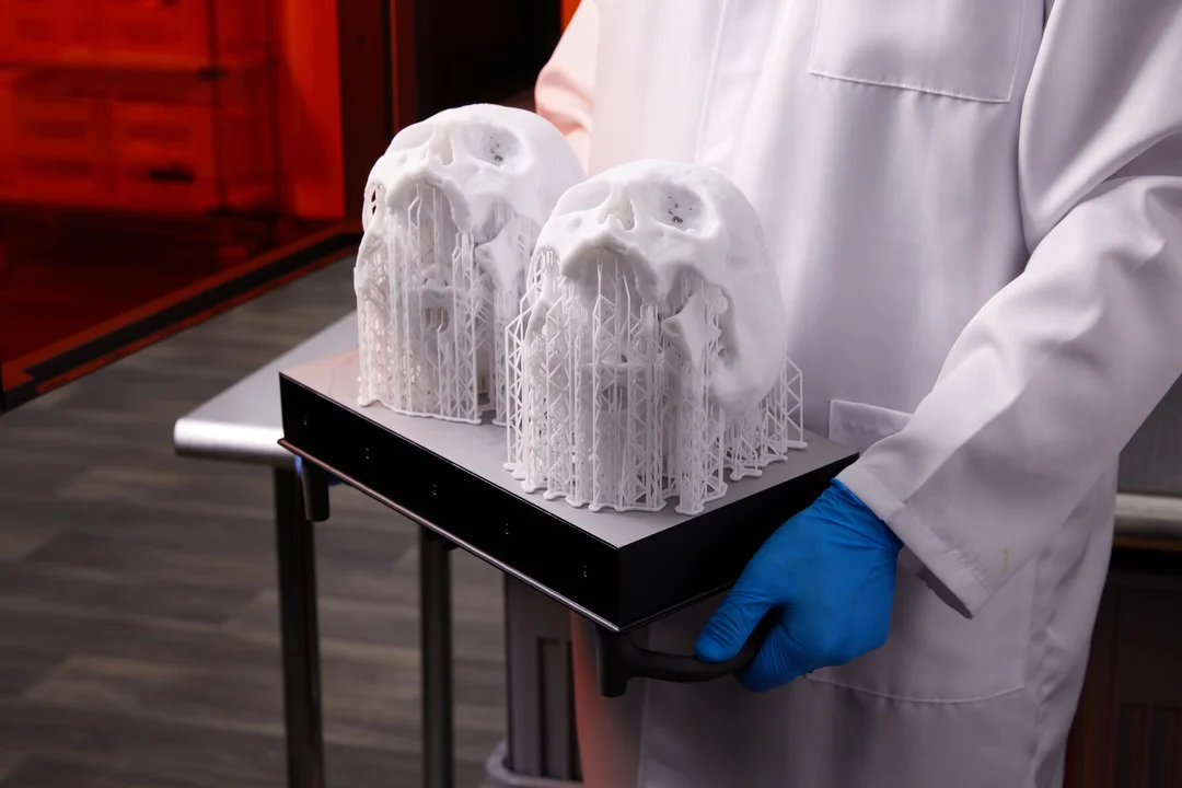 해부학 모델 출력 예시 · Formlabs